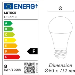 Lot de 10 ampoules LED E27 8,8W 806Lm 3000K - garantie 5 ans