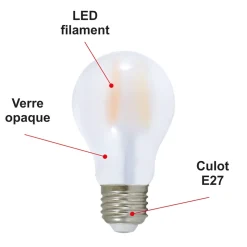 Lot de 10 ampoules LED filament E27 8W (équiv. 80w) 950Lm 2700K - garantie 2 ans