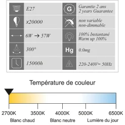 Lot de 10 ampoules LED filament E27 6W 750Lm 2700K - garantie 2 ans