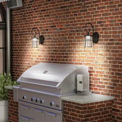 Lot de 2 appliques murales solaires LED extérieures métal ABS noir