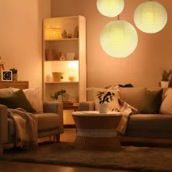 Lot de 12 Boules Japonaises Blanches 20 cm