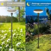 Lot de 2 Eclairages LED 35 lm Solaire à planter Idéal illumination de composition florale