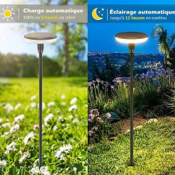 Lot de 2 Eclairages LED 35 lm Solaire à planter Idéal illumination de composition florale
