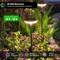 Lot de 8 Eclairages LED 35 lm Solaire à planter Idéal illumination de composition florale