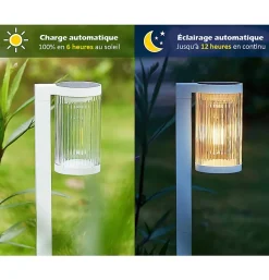 Lot de 8 Eclairages LED 25 lm Solaire à planter Idéal éclairage Allée et chemin