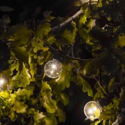 Lot de 2 guirlandes solaires 10 globes x2 PARTY CLEAR SOLAR Blanc Plastique 5.9M