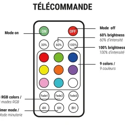 Lot de 2 lampes de piscine flottante SPLASHY Blanc Plastique D11CM