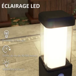 Lot de 2 lampes d'extérieur - bornes lumineuses LED - norme IP65 - alu noir