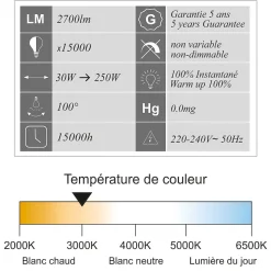 Lot de 4 projecteurs LED 30W/IP65/IK10/2700lm/3000K connexion directe - sans câble - garantie 5 ans