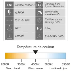 Lot de 5 projecteurs LED 10W/IP65/1000lm/4000K connexion directe - sans câble - garantie 5 ans