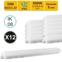 Lot de 12 réglettes LED étanche 1500mm 55W 6600 LM 6500K IP65 - traversant - garantie 5 ans