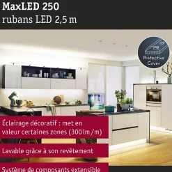 MaxLED 250 Strip LED Extension 2,5m 2700K revêtue 10W 300lm/m 2700K