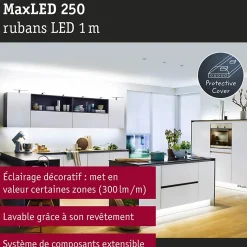 MaxLED 250 Strip LED Extension 1m 6500K revêtue 4W 300lm/m 6500K