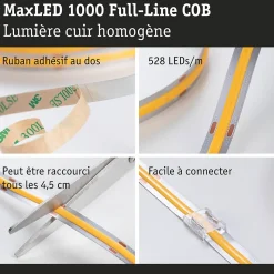 MaxLED 1000 Strip LED Extension COB 2,5m Blanc lumière du jour 30W 1280lm/m 6500K