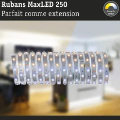 MaxLED 250 Strip LED Extension 5m Tunable White 17,5W 270lm/m Tunable White
