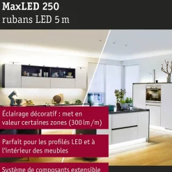 MaxLED 250 Strip LED Extension 5m Tunable White 17,5W 270lm/m Tunable White