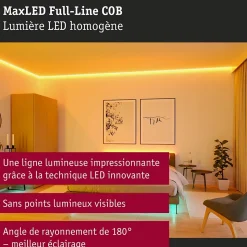 MaxLED 1000 Strip LED Kit de base COB 1,5m RGBW 17W 1038lm/m RGBW+ 48VA