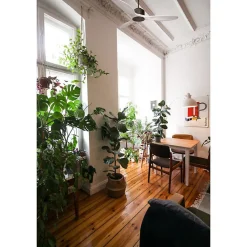 Modulo de KlassFan - Super destratificateur et ventilateur DC 132 cm Gris basalte pales bois blanc sans Lumière 25 à 40 m²