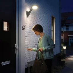 Mur Solaire LED 1000lm Crépuscule + PIR