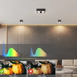 NETTLIFE 2 Spots de plafond en saillie noir avec lumière orientable blanc chaud moderne 2x5W GX53 carré plat pour salon