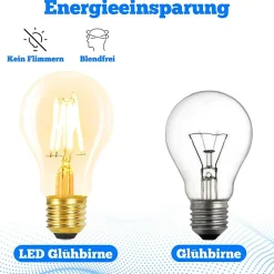 NETTLIFE Ampoules LED 6 pièces ampoule E27 4W 2700K A60 ampoules Edison vintage