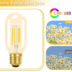 NETTLIFE Lot de 4 ampoules LED E27 blanc chaud vintage T45 4W 2700K style Edison économie d'énergie ampoules en verre