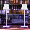 Nettlife Lot de 2 lampes de chevet LED RGB, 2600mAh, rechargeable, tactile, dimmable, blanc, USB