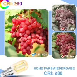 NETTLIFE pack de 2 E14 LED blanc froid T22 vintage LED 2W rétro 6000K lampe à économie d'énergie E14 non dimmable