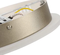 NETTLIFE Plafonnier à Led à intensité variable Ring Design avec télécommande Moderne 46W