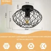NETTLIFE Plafonnier cage noire spot de plafond vintage E27 douille métal