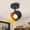 NETTLIFE Plafonnier E14 spot de plafond or noir lampe de couloir industrielle vintage