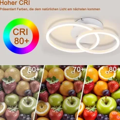 NETTLIFE Plafonnier LED 2 anneaux Blanc Pivotant Moderne Ronde Design 24W 3000K