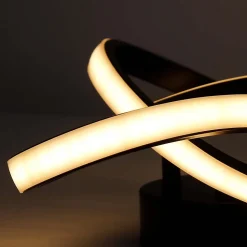 NETTLIFE Plafonnier LED Blanc Chaud - 19 W Lampe Noire Lampe de Moderne Petite 3000 K pour Chambre d'enfant Salon Chambre Couloir