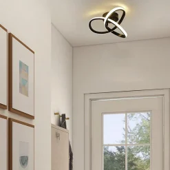 NETTLIFE Plafonnier LED Blanc Chaud - 19 W Lampe Noire Lampe de Moderne Petite 3000 K pour Chambre d'enfant Salon Chambre Couloir