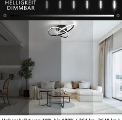 NETTLIFE Plafonnier LED Dimmable 33 W Lampe Noir avec Télécommande Lampe de Moderne 40 cm pour Salon Cuisine Couloir Studio