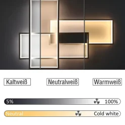 NETTLIFE Plafonnier LED Dimmable Moderne Lampe de salon Plafonnier blanc 65W