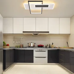 NETTLIFE Plafonnier LED lampe de salon à intensité variable 62 W avec 2 spots de plafond, noir, avec télécommande, acrylique