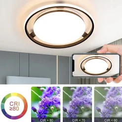 NETTLIFE Plafonnier LED Noir Moderne Télécommande Design Rond Lampe de Salon avec Lampe à Intensité Variable pour Bureau Couloir