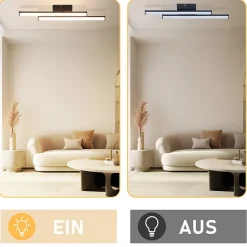 NETTLIFE Plafonnier LED salon moderne noir 12W 3000K blanc chaud chambre LED intégré en permanence