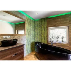 Néon Flexible LED Vert 24V 50M IP65 120LED/m - SILAMP