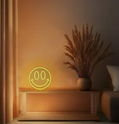 Néon LED Smiley jaune IP20 Ø40cm Seynave
