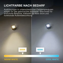 OSRAM Projecteur LED ENDURA FLOOD PC 20 W 4 000 K Gris