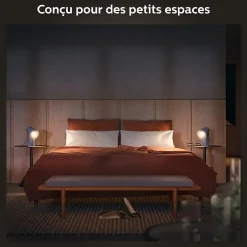 Pack 3 ampoules connecté Philips Hue E27 A60 800lm blanc chaud à froid