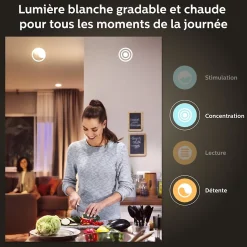 Pack 3 ampoules connecté Philips Hue E27 A60 800lm blanc chaud à froid