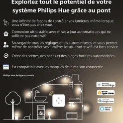 Pack 3 ampoules connecté Philips Hue E27 A60 800lm blanc chaud à froid