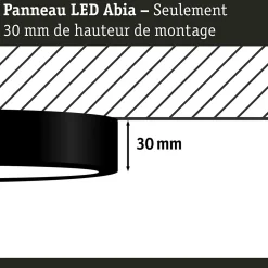 Panneau LED Abia rond 300mm 3x22W 3x2200lm 2700K Noir mat