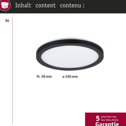 Panneau LED Abia rond 300mm 3x22W 3x2200lm 2700K Noir mat