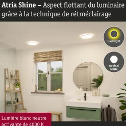 Panneau LED Atria Shine Backlight IP44 rond 293mm 16W 1600lm 4000K Blanc