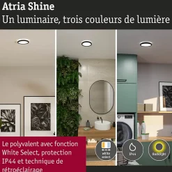 Panneau LED Atria Shine White Select IP44 rond 190mm 7,6W 1100lm 3000 - 6500K Noir