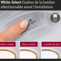 Panneau LED Atria Shine White Select IP44 rond 298mm 14,8W 2250lm 3000 - 6500K Esthétique bois